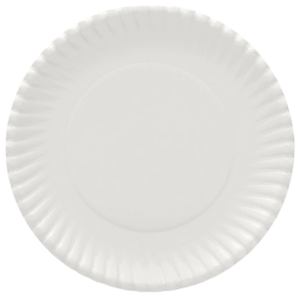 9in paper plate