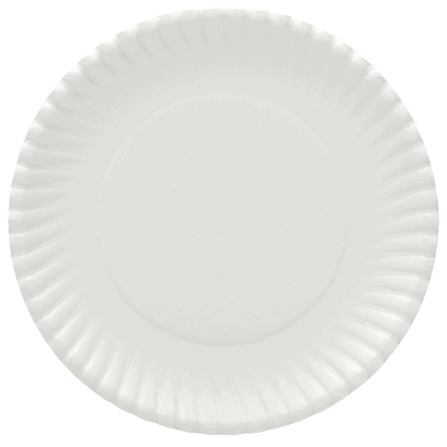 9in paper plate