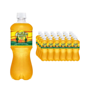 Cactus Cooler 20oz bottle